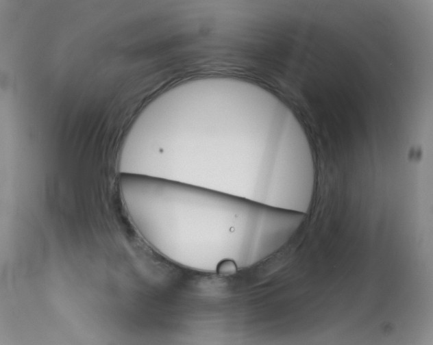 X0000114130075200910081012