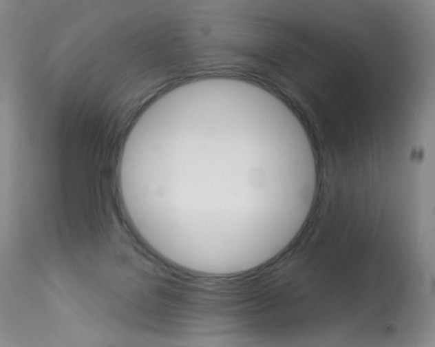 X0000114130076200910081012