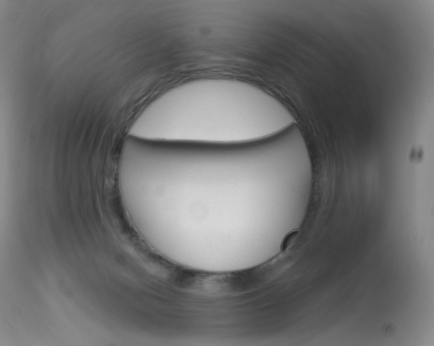 X0000114130078200910081012