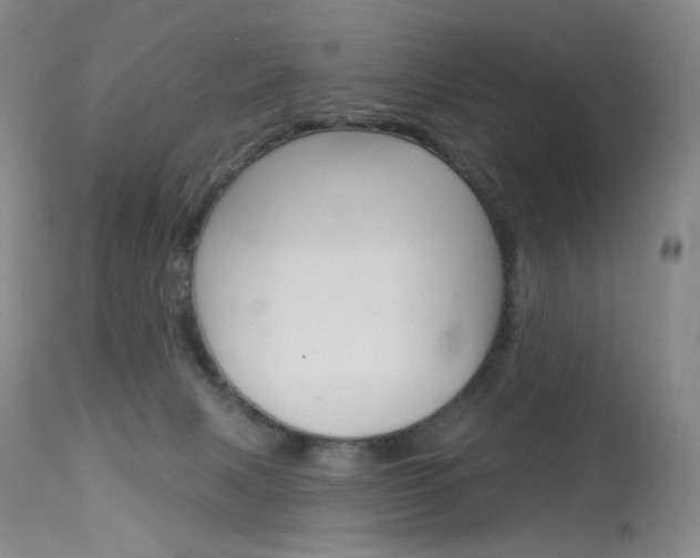 X0000114130079200910081012