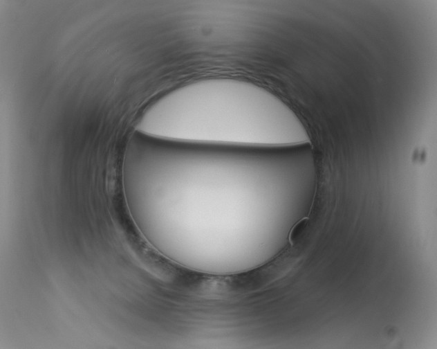 X0000114130080200910081012