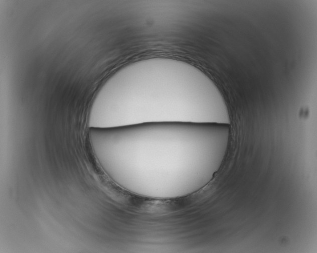 X0000114130082200910081012