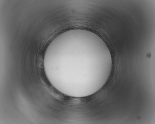 X0000114130083200910081012