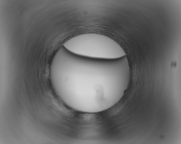 X0000114130085200910081012