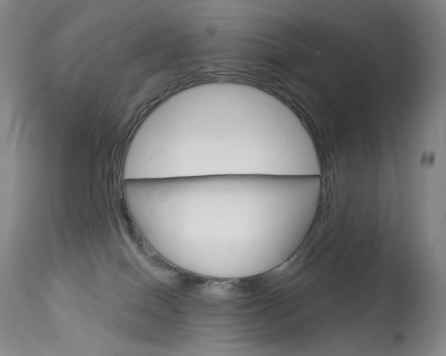 X0000114130086200910081012