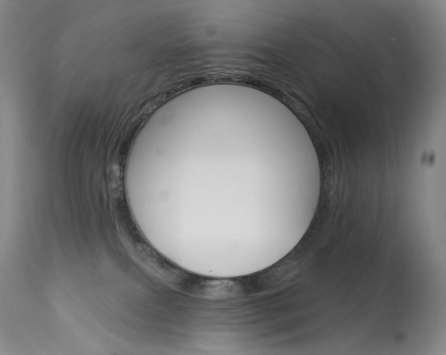 X0000114130087200910081012