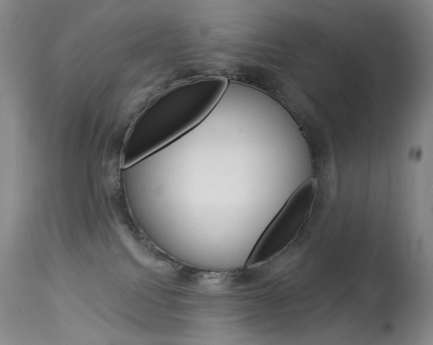 X0000114130088200910081012