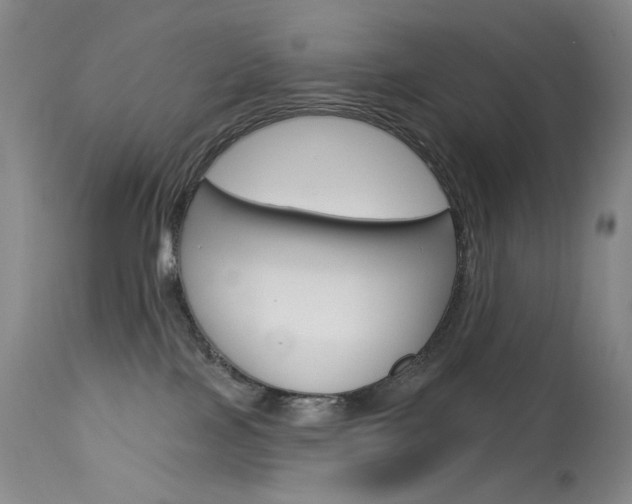 X0000114130089200910081012
