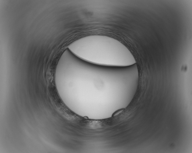 X0000114130091200910081013