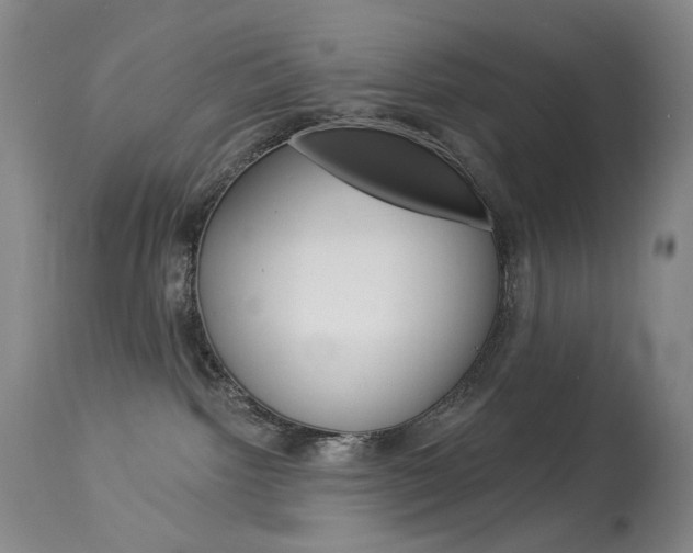 X0000114130092200910081013