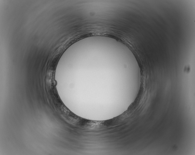 X0000114130093200910081013