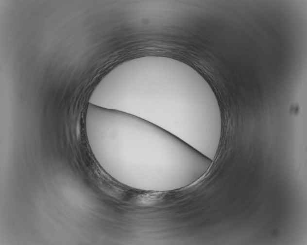 X0000114130094200910081013