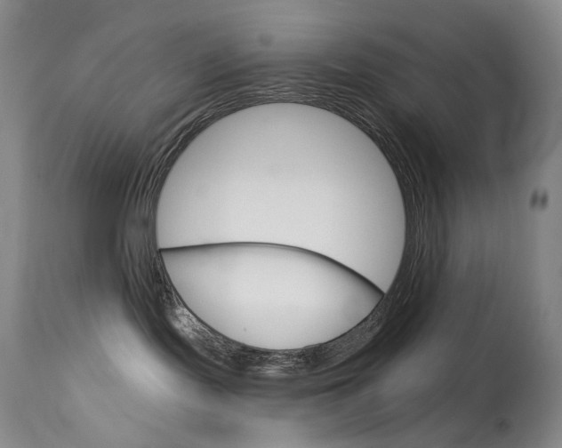 X0000114130095200910081013
