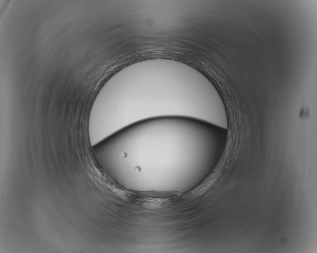 X0000114130096200910081013