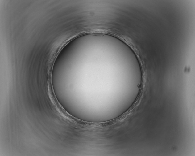 X0000114130097200910081012