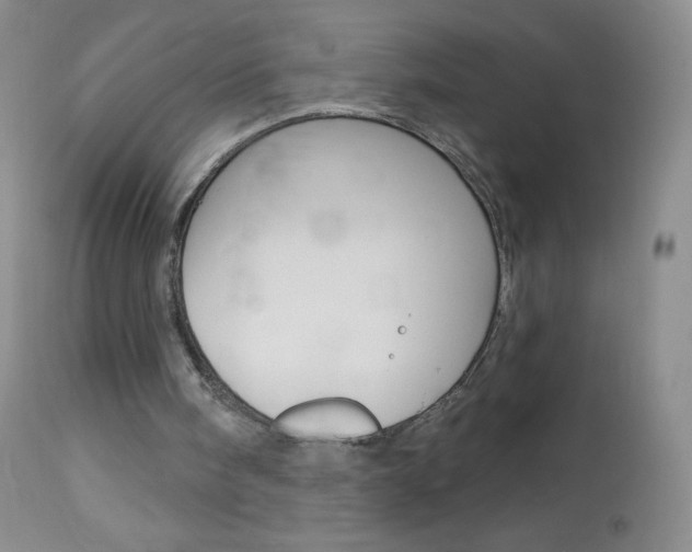 X0000114130098200910081012