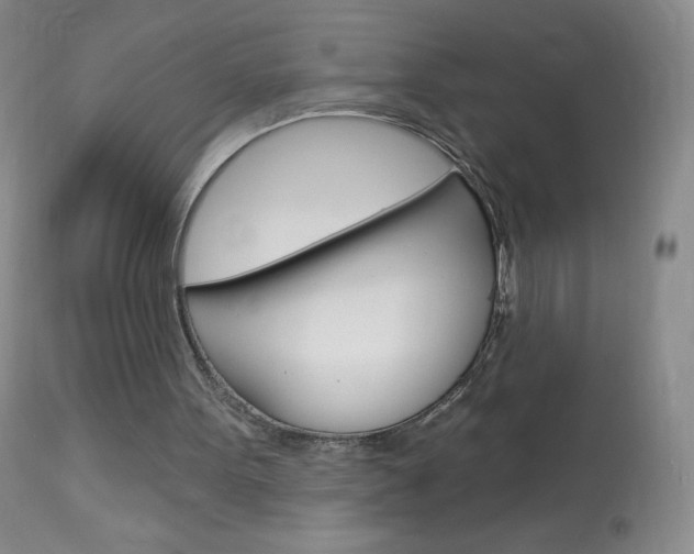 X0000114130099200910081012