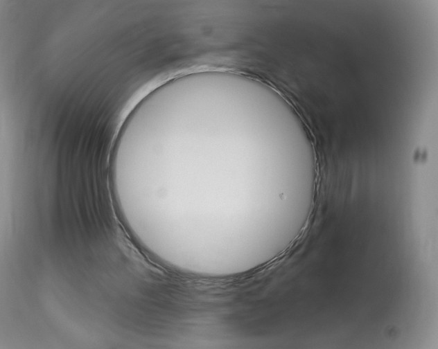 X0000114130100200910081012