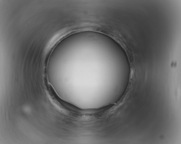 X0000114130101200910081012