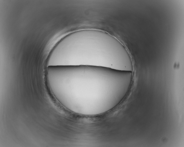 X0000114130103200910081012
