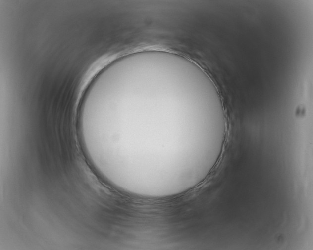 X0000114130104200910081012
