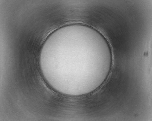X0000114130105200910081012