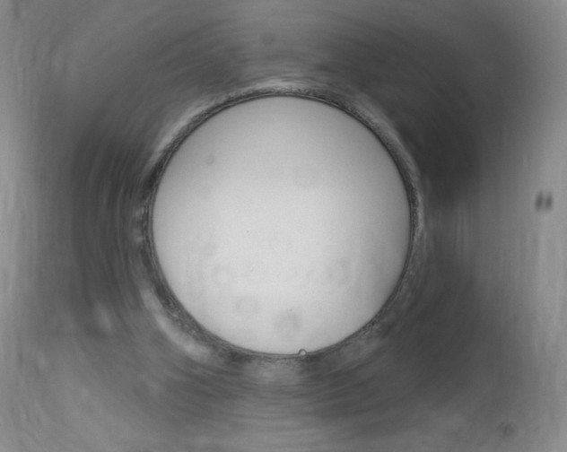 X0000114130106200910081012