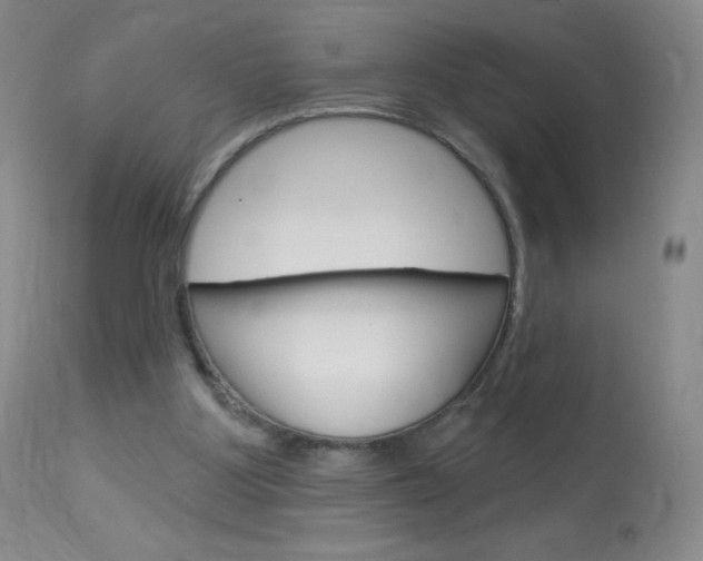 X0000114130107200910081012