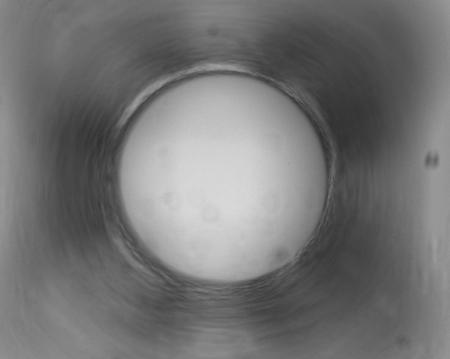 X0000114130108200910081012