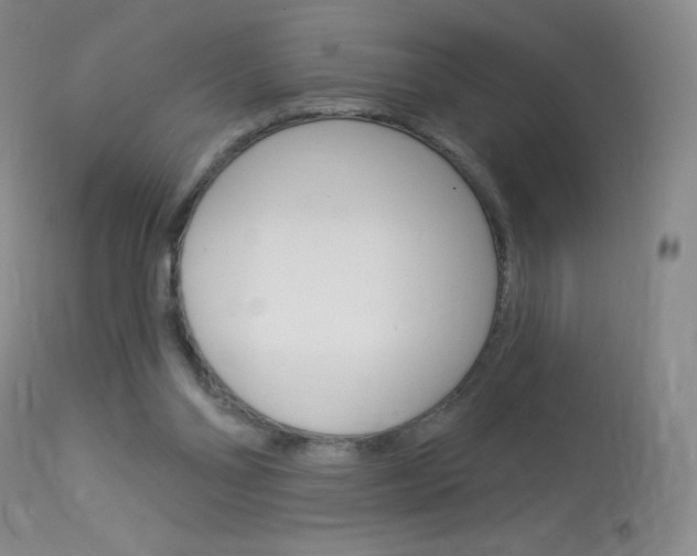 X0000114130110200910081012