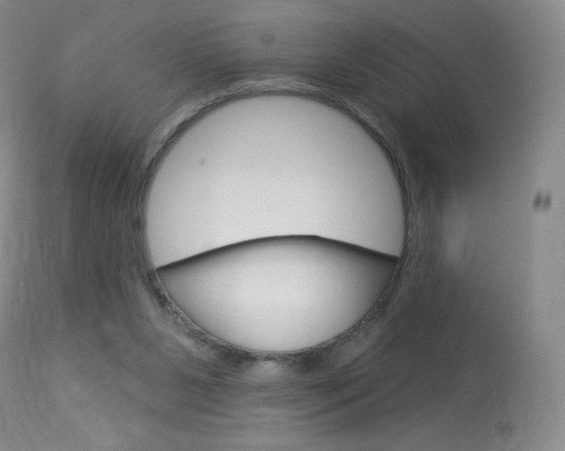 X0000114130111200910081012