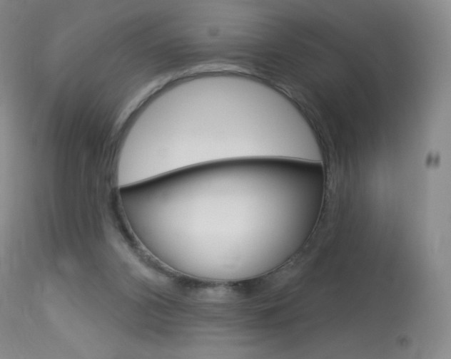 X0000114130112200910081012