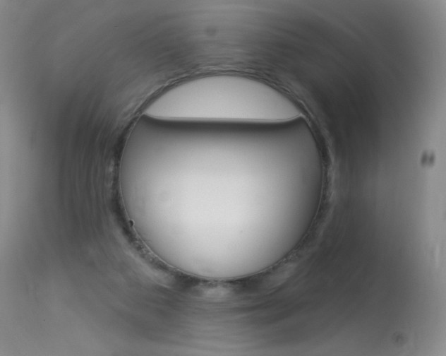 X0000114130113200910081012