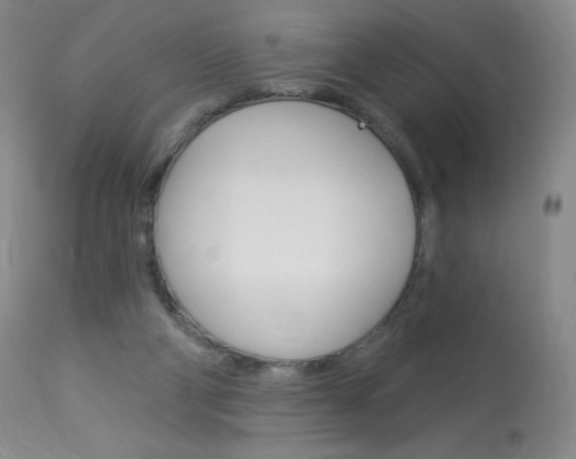 X0000114130114200910081012