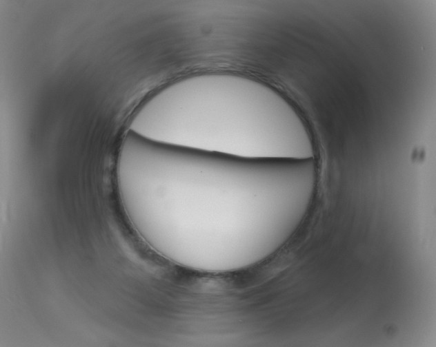 X0000114130115200910081011