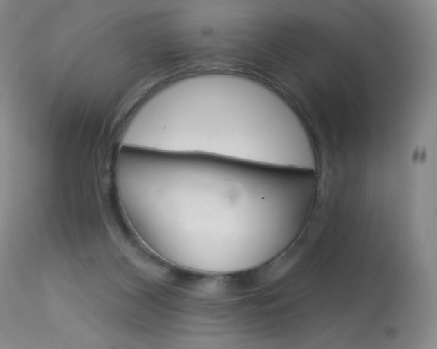 X0000114130116200910081011
