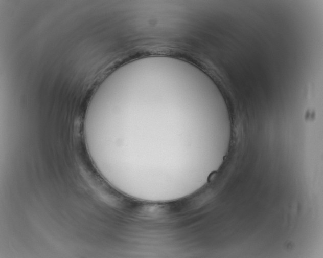 X0000114130117200910081011