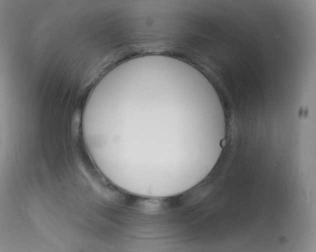 X0000114130118200910081011