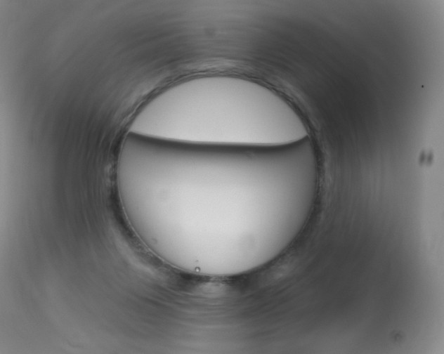 X0000114130119200910081011