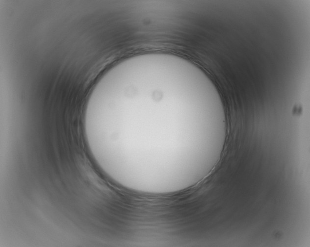 X0000114130120200910081011