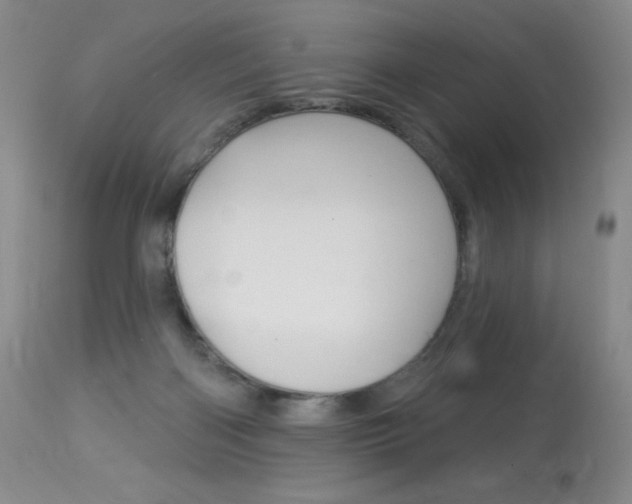 X0000114130122200910081011