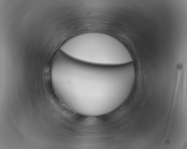 X0000114130123200910081011