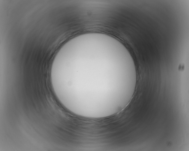 X0000114130124200910081011