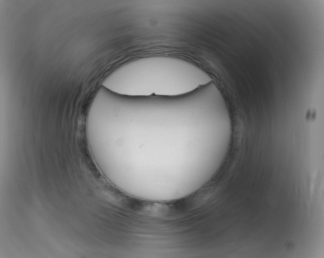 X0000114130125200910081011