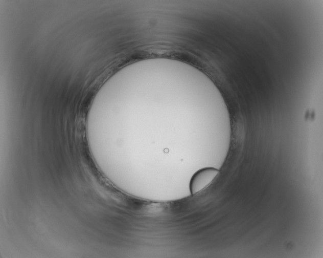 X0000114130126200910081011