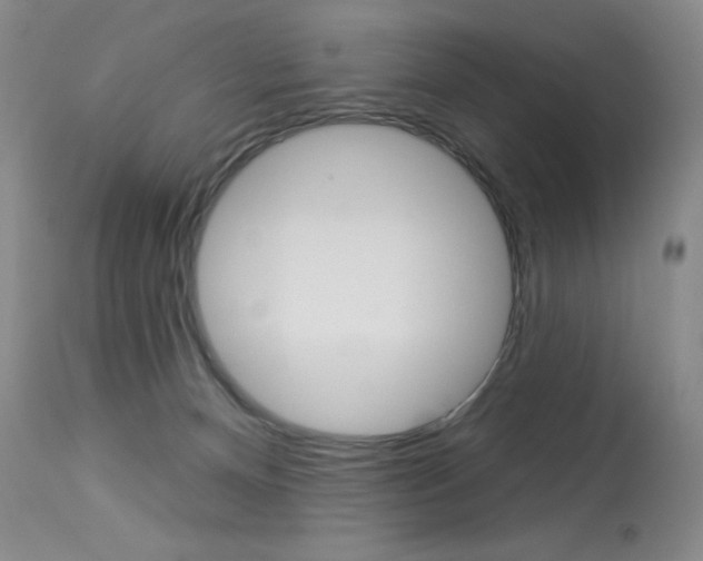 X0000114130128200910081011
