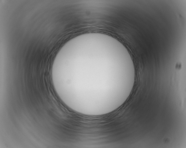 X0000114130129200910081011
