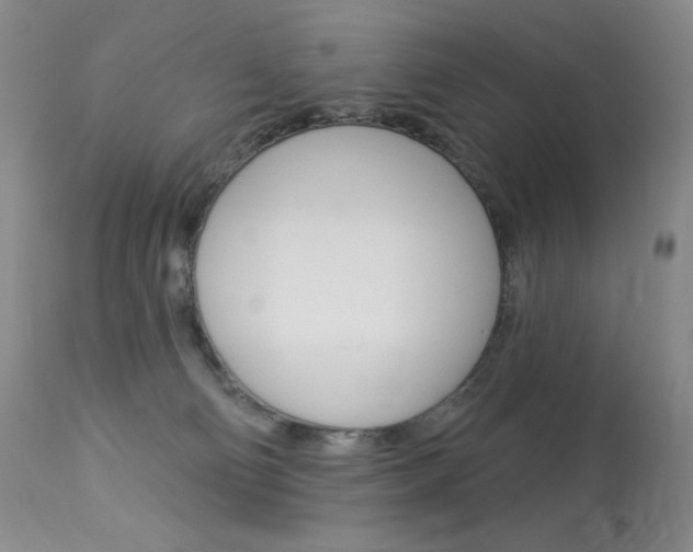 X0000114130130200910081011