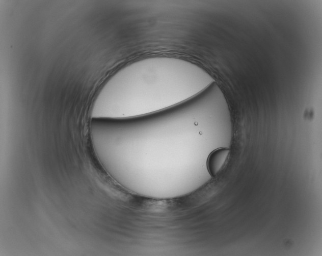 X0000114130131200910081011