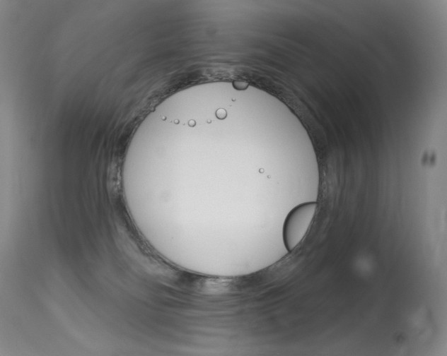X0000114130134200910081011